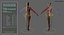 Ultimate Rigged Anatomy Combo1