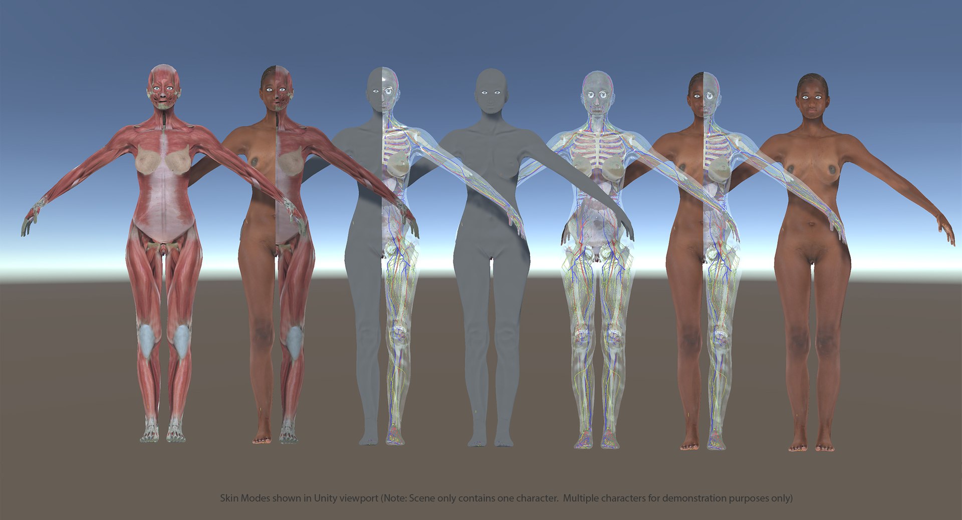 3D ultimate rigged anatomy combo https://p.turbosquid.com/ts-thumb/zH/jhiZwI/zBs9JHLU/unityskinmodes_bf/jpg/1544140880/1920x1080/fit_q87/e20ccdf5aa8be70ab3891324f724e0feecb7752e/unityskinmodes_bf.jpg