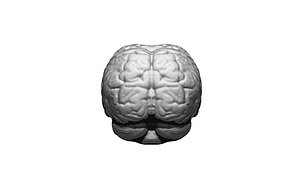 3D BRAIN