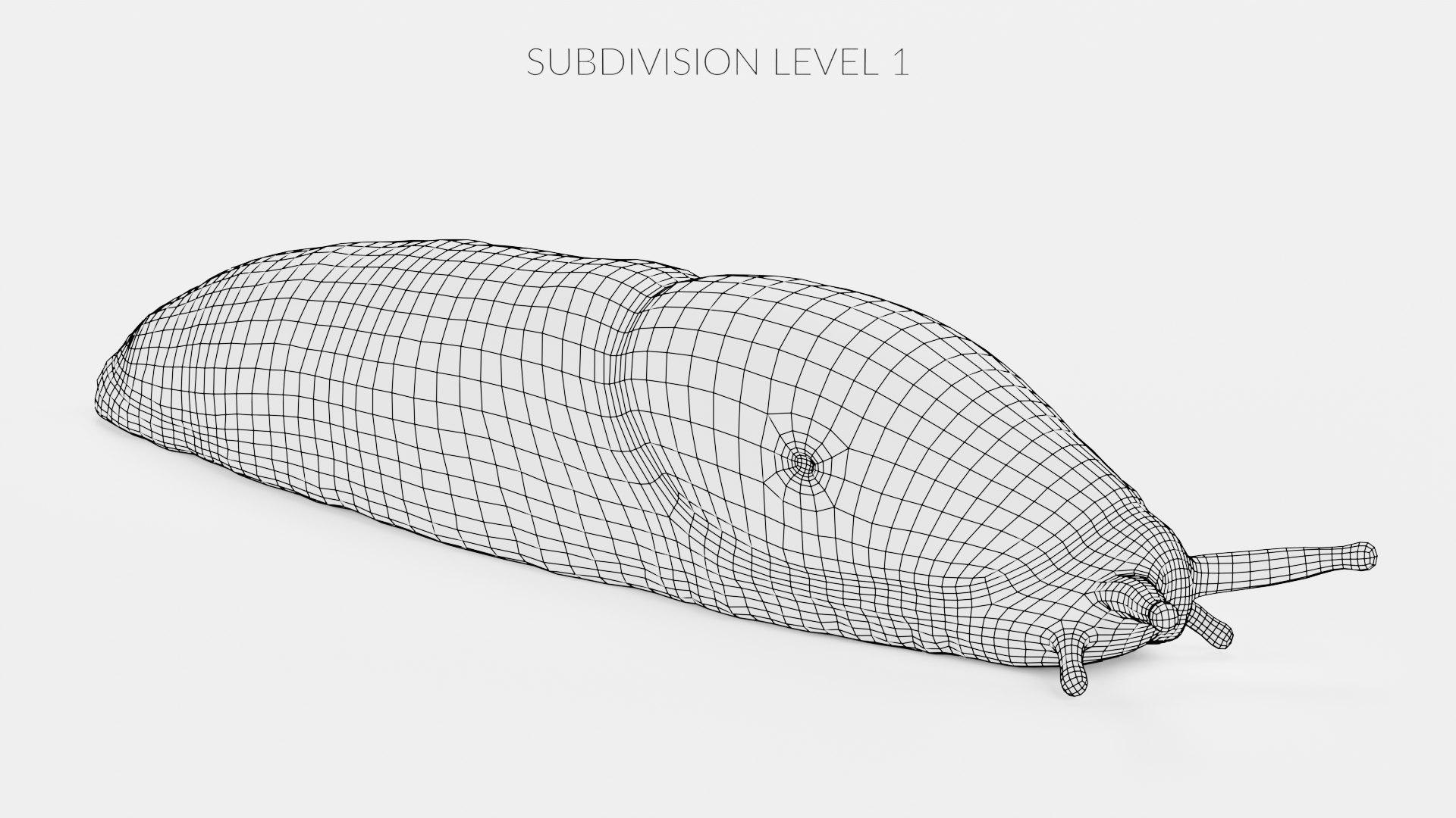 Black Slug Rigged 3D - TurboSquid 1771365