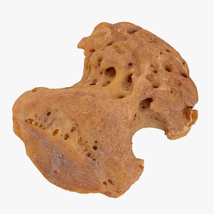 3D distral phalanx bone little model