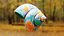 Stylized Fantasy Marine Shell - Procedural 3D Model