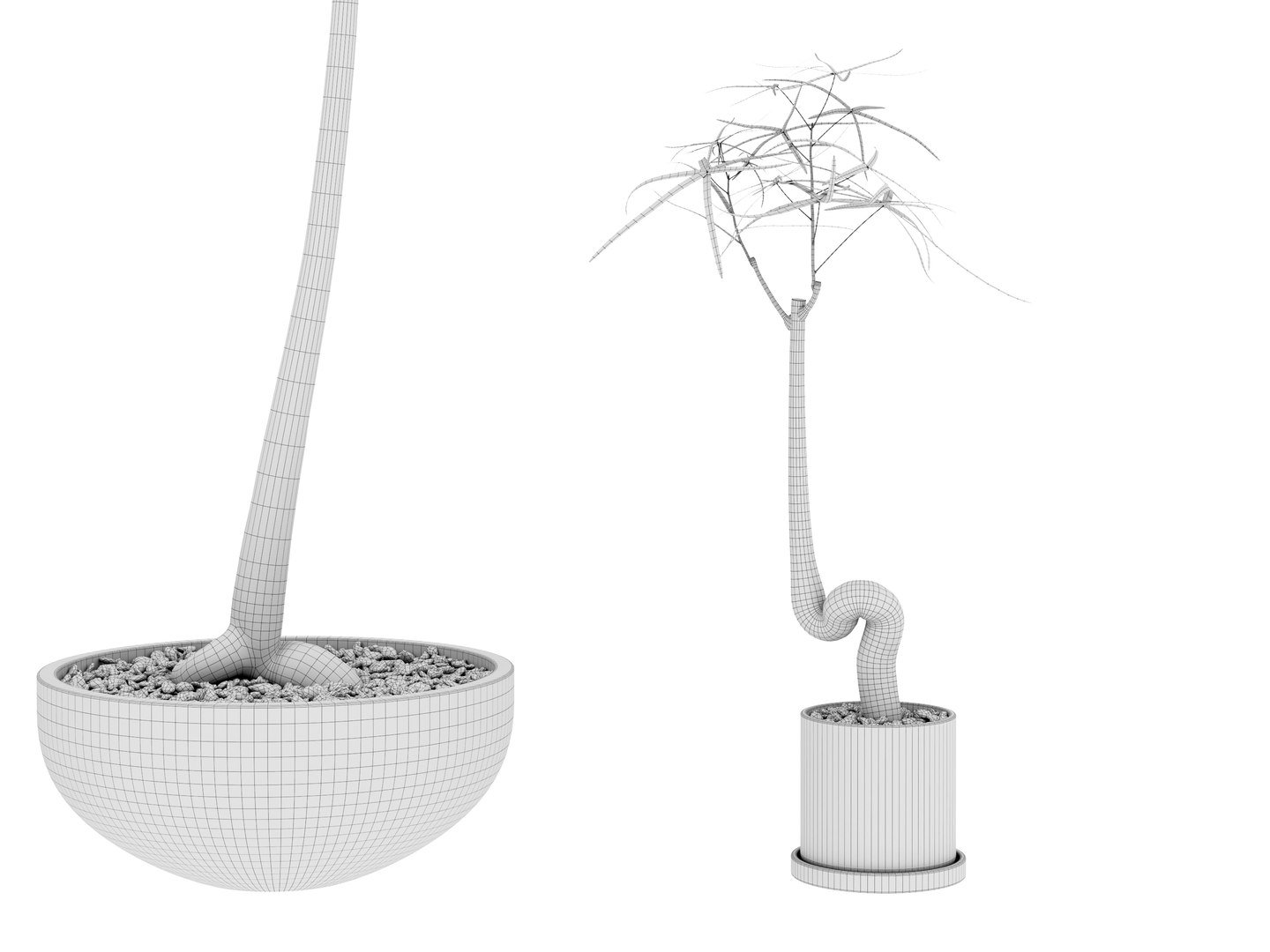 3D Plant Bottle Tree - Brachychiton Rupestris model https://p.turbosquid.com/ts-thumb/zH/upi5MB/zu/wiire_2/jpg/1703055407/1920x1080/fit_q87/a0c45dec9c22586de175dc32af15790b42692172/wiire_2.jpg