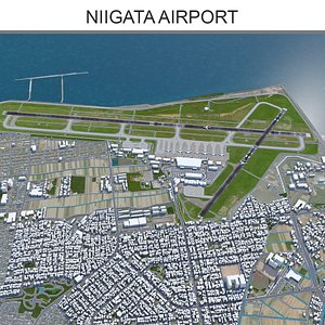 Niigata Airport model