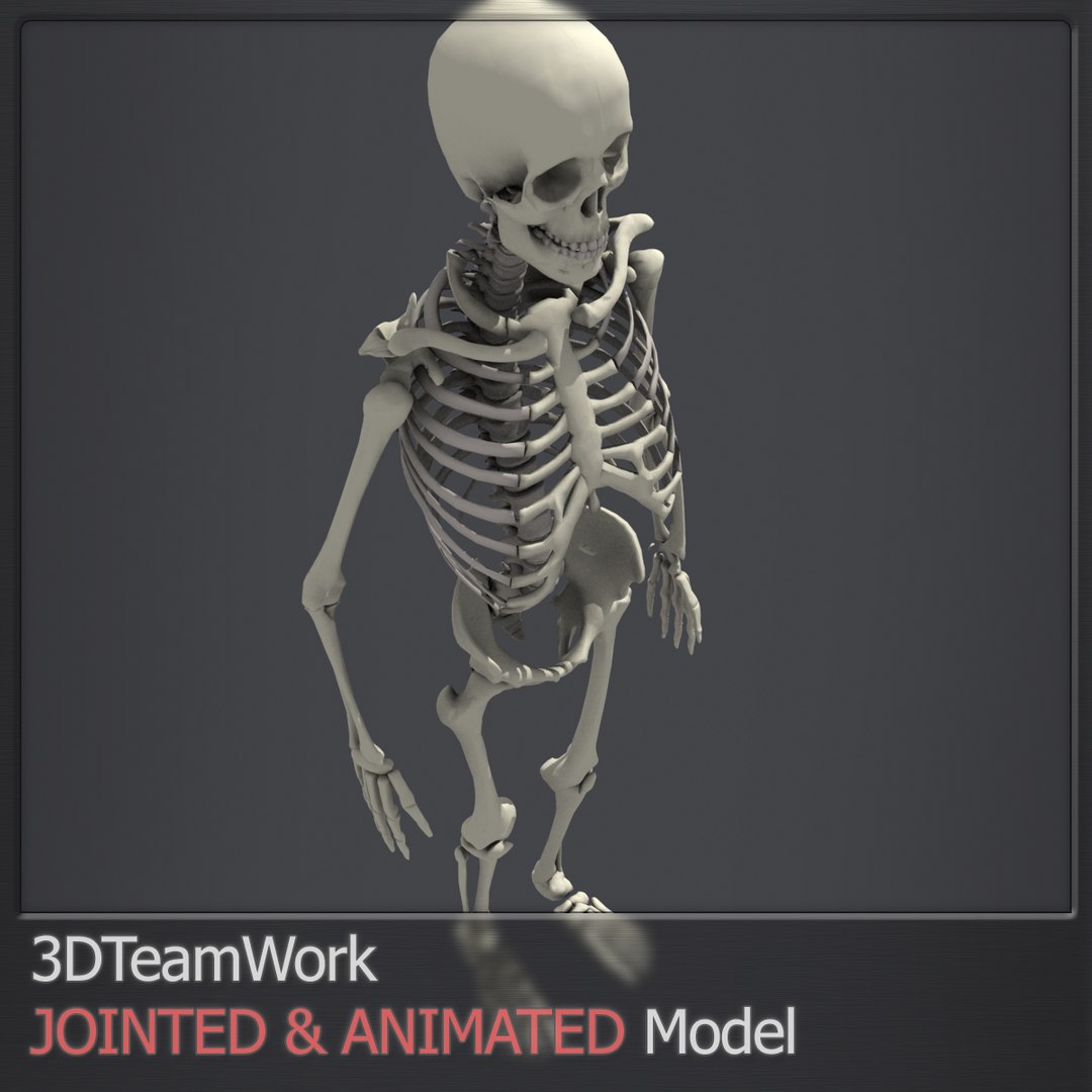 3d human skeleton jointed model https://p.turbosquid.com/ts-thumb/zI/15Y3RL/0gvdF1LN/thumb_002/jpg/1409627613/1920x1080/fit_q87/907eea18e390e8e8a1585e8767256c25268cb9be/thumb_002.jpg