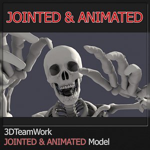Human Skeleton Jointed & Animated