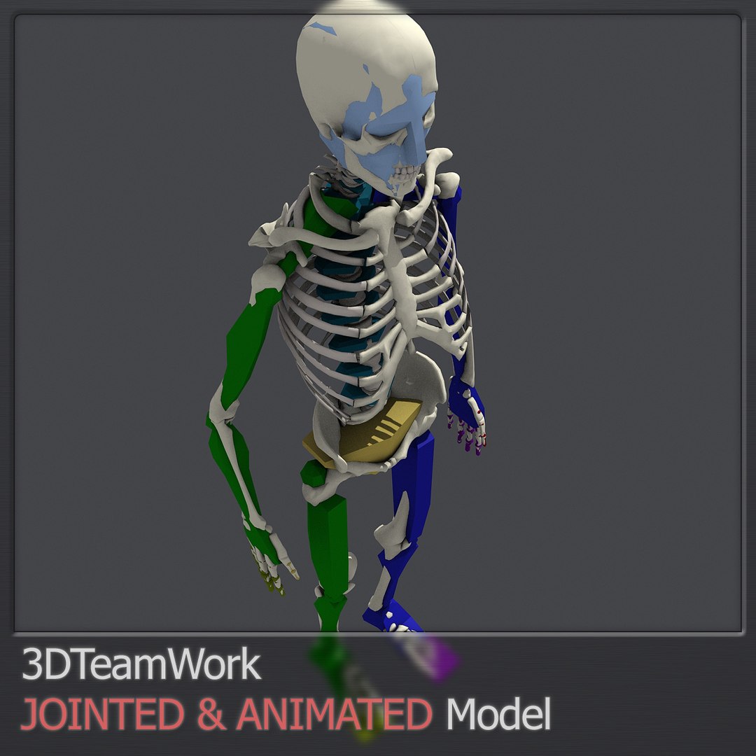 3d human skeleton jointed model https://p.turbosquid.com/ts-thumb/zI/15Y3RL/iuFubHQ5/thumb_001/jpg/1409627613/1920x1080/fit_q87/189b3392d41c1e5948cb91892d5e4394e8e05214/thumb_001.jpg