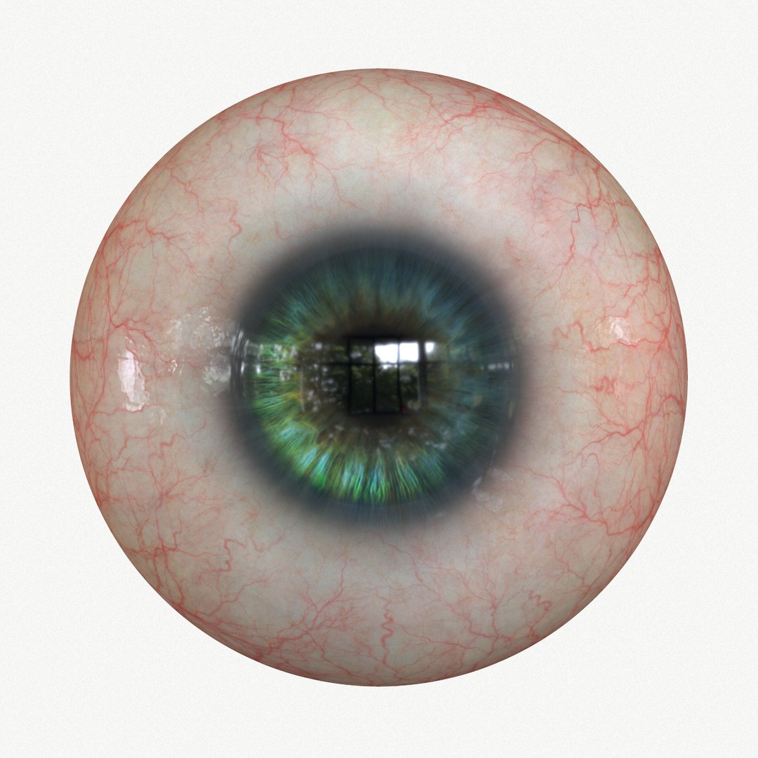 D Model Eye Green Real Time K Texture Marmoset Toolbag Maya Fbx Obj Turbosquid