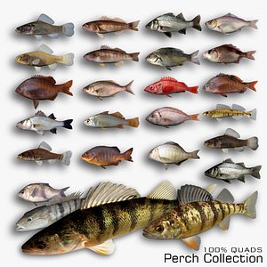 3D Perch Collection