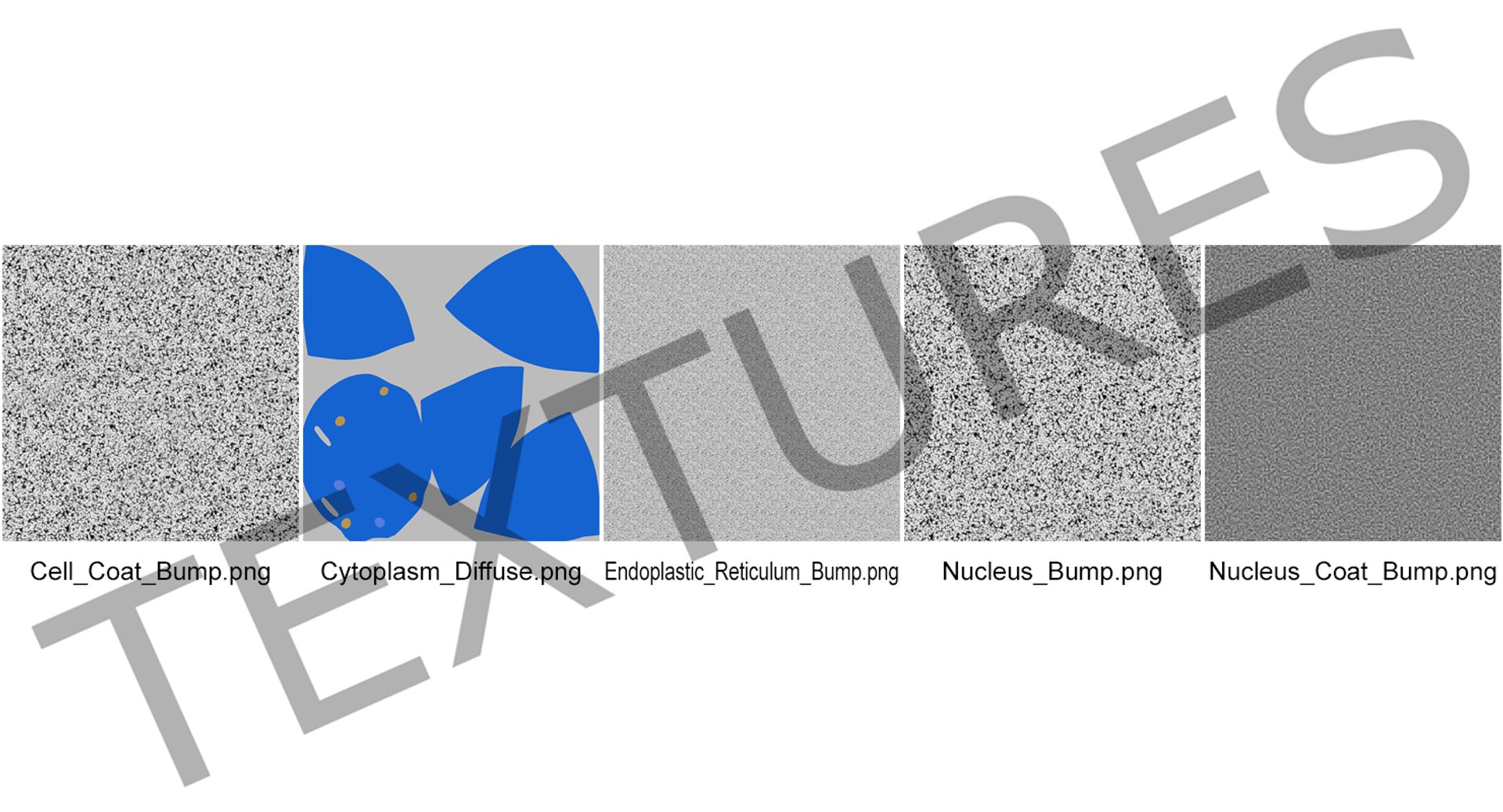 typical animal cell 3D model https://p.turbosquid.com/ts-thumb/zI/CgC5iJ/I04bCXJJ/typicalanimalcell3dsmodel009/jpg/1516307234/1920x1080/fit_q87/5e4a706b9462d837c4541ac3f3d51dba5734a616/typicalanimalcell3dsmodel009.jpg