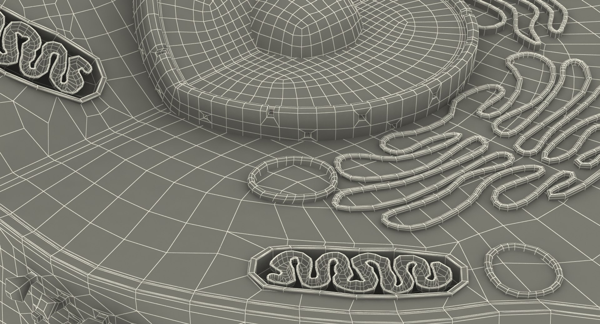 typical animal cell 3D model https://p.turbosquid.com/ts-thumb/zI/CgC5iJ/LGxBqDVU/typicalanimalcell3dsmodel017/jpg/1516307264/1920x1080/fit_q87/9e13664b83717e5bc928cdcf77c00fdcb803e5a9/typicalanimalcell3dsmodel017.jpg