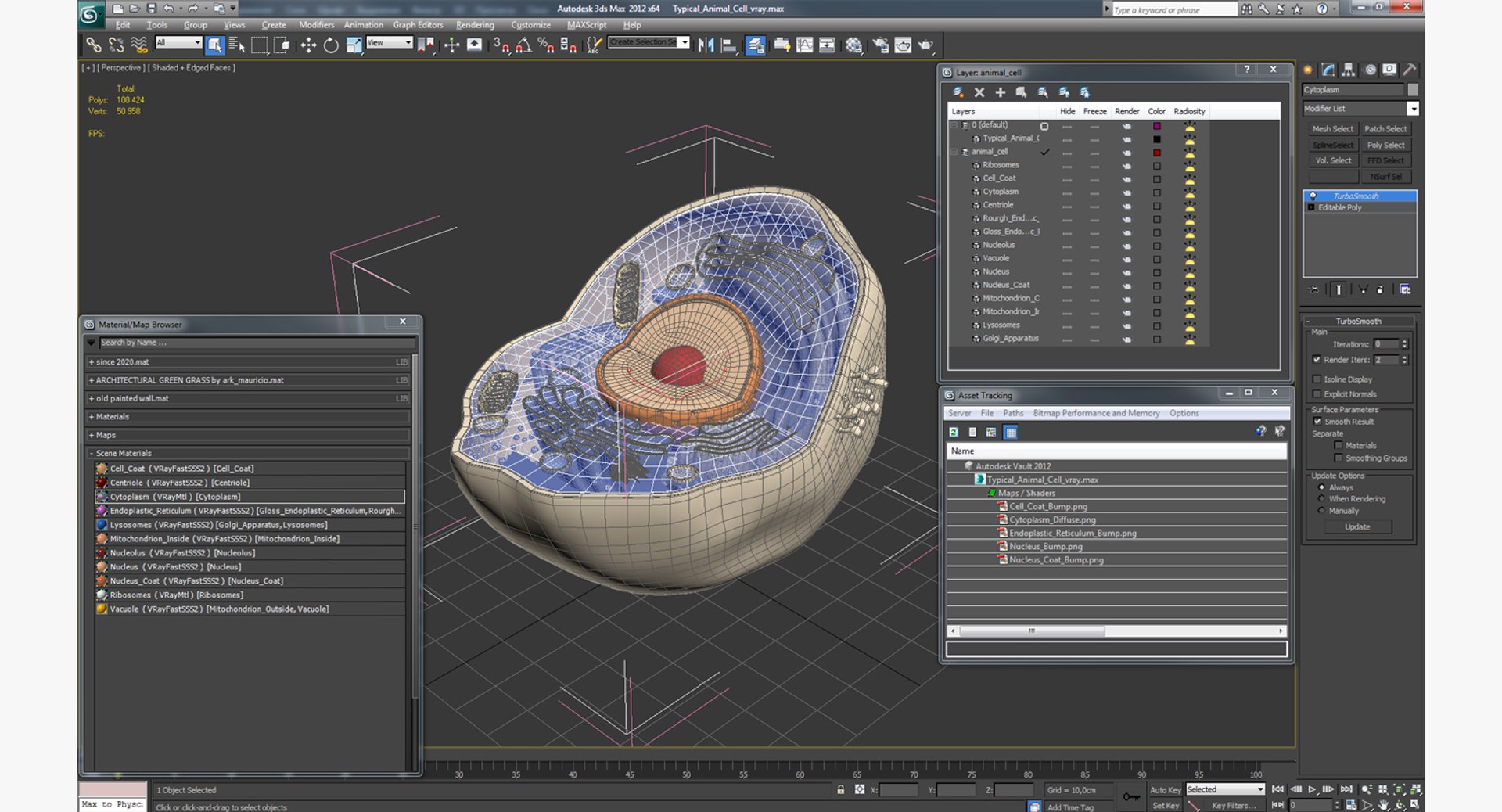 typical animal cell 3D model https://p.turbosquid.com/ts-thumb/zI/CgC5iJ/xScgIOyT/typicalanimalcell3dsmodel011/jpg/1516307243/1920x1080/fit_q87/de8af36e716105556f3765ec9a1a4e22e15487d2/typicalanimalcell3dsmodel011.jpg