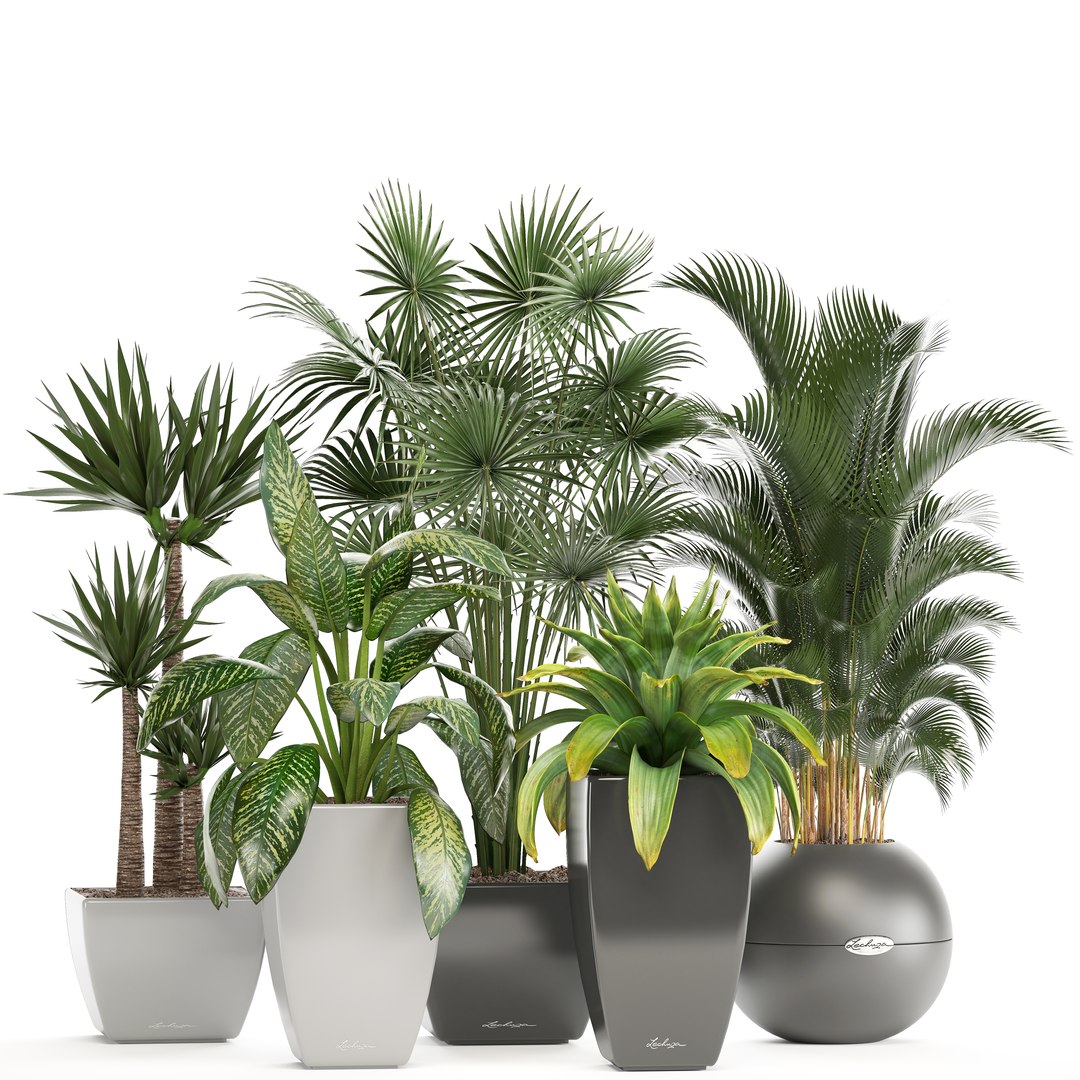 plants pots model https://p.turbosquid.com/ts-thumb/zI/EIyr2t/9qUIO1eX/newplantset210601/jpg/1529662732/1920x1080/fit_q87/c5e92d549c54021f7fddaddc9b6a4d62bb2583db/newplantset210601.jpg