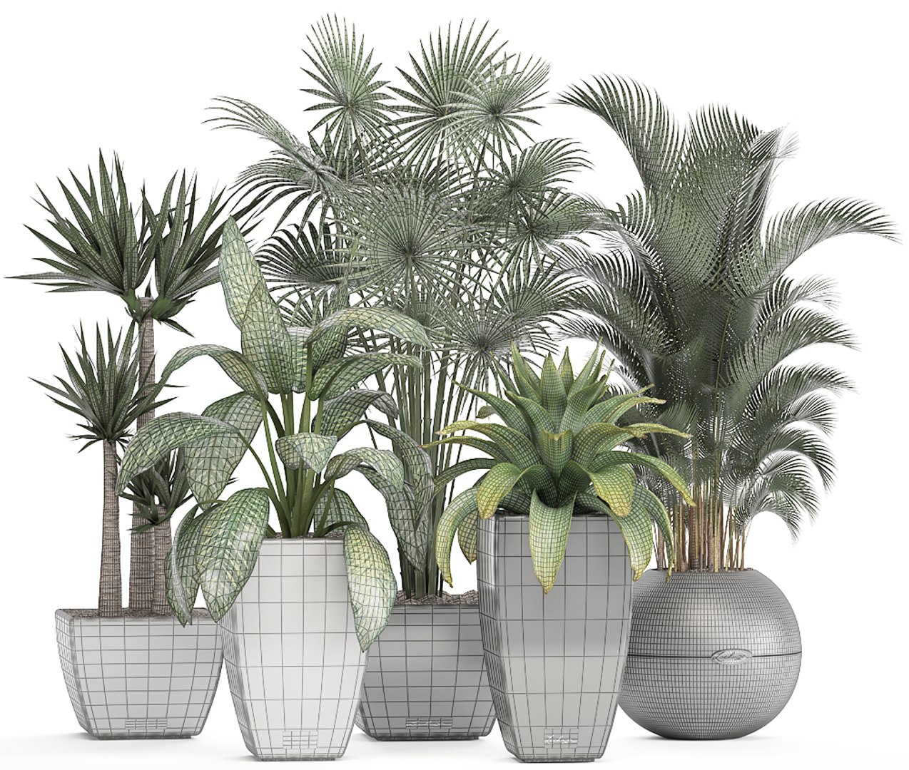 Plants Pots Model - TurboSquid 1298904