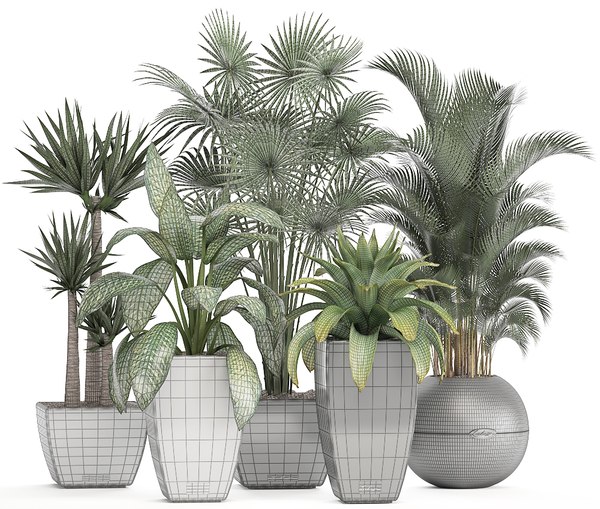 Plants pots model - TurboSquid 1298904