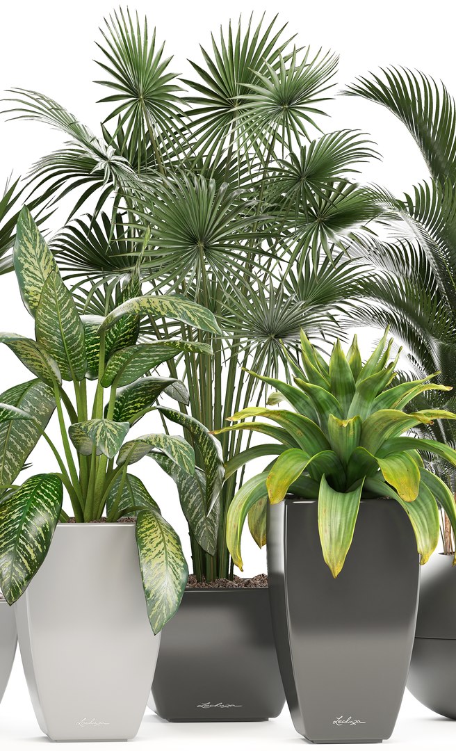 plants pots model https://p.turbosquid.com/ts-thumb/zI/EIyr2t/D83ZYCf9/newplantset210603/jpg/1529662732/1920x1080/fit_q87/e735a6265c684559ce8e5cc820f5efd596a5495f/newplantset210603.jpg