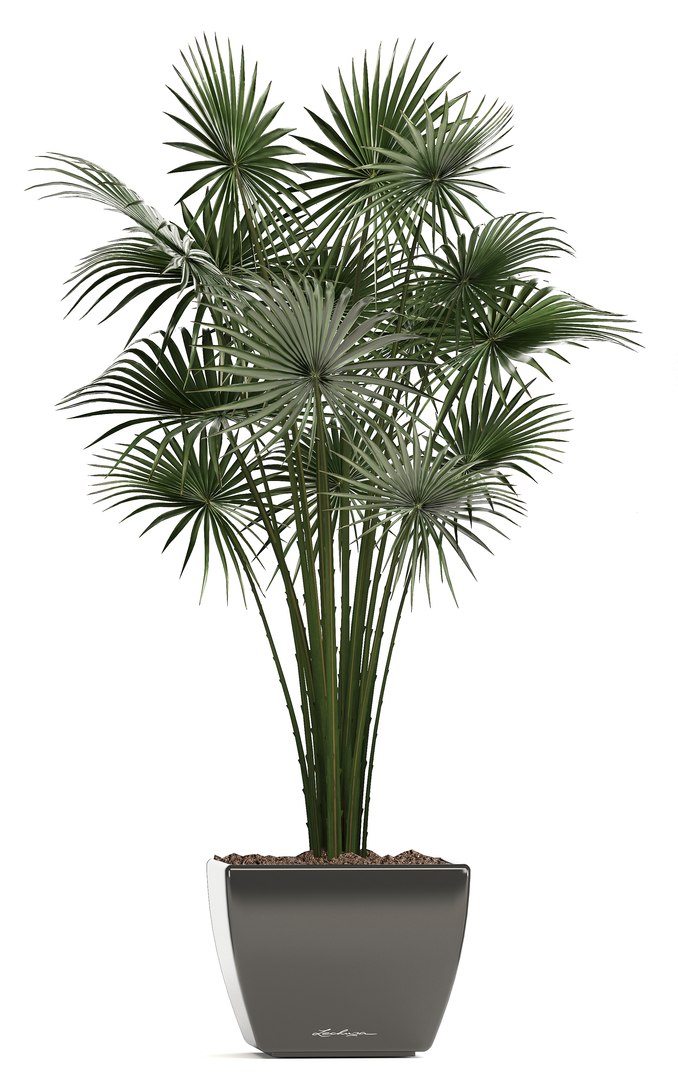 plants pots model https://p.turbosquid.com/ts-thumb/zI/EIyr2t/NXTrF85A/newplantset210608/jpg/1529662732/1920x1080/fit_q87/aa1614a8d1874b24075a49a66b68dfe0519ff078/newplantset210608.jpg