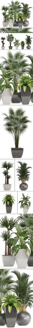plants pots model https://p.turbosquid.com/ts-thumb/zI/EIyr2t/OC24Gfe8/newplantset210616/jpg/1529662732/1920x1080/fit_q87/55440b6e57f67dd2d10deeb7e780bed2e89ac4fe/newplantset210616.jpg