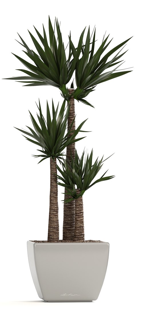 plants pots model https://p.turbosquid.com/ts-thumb/zI/EIyr2t/RTrxjgXR/newplantset210607/jpg/1529662732/1920x1080/fit_q87/800cb8d5761f73ff4eea367c7ae7a187e4c79944/newplantset210607.jpg