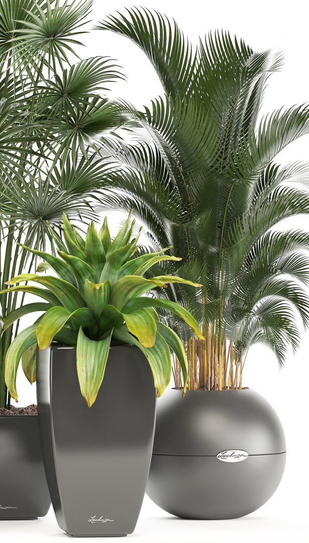 plants pots model https://p.turbosquid.com/ts-thumb/zI/EIyr2t/SVR4uaI3/newplantset210605/jpg/1529662732/1920x1080/fit_q87/0fad5f3857245df1923f478840c333dab9353d27/newplantset210605.jpg