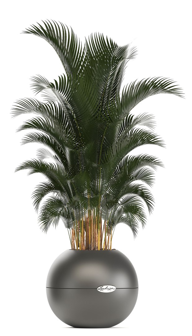 plants pots model https://p.turbosquid.com/ts-thumb/zI/EIyr2t/V5HCxD0e/newplantset210611/jpg/1529662732/1920x1080/fit_q87/cb040b8d9fdf153a3d0b15264c54c24c14e2cddb/newplantset210611.jpg