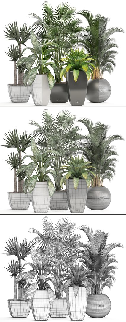 plants pots model https://p.turbosquid.com/ts-thumb/zI/EIyr2t/chq08mbo/newplantset210615/jpg/1529662732/1920x1080/fit_q87/239c7c6e9d8b181b71087e58f9b2a1440175853f/newplantset210615.jpg