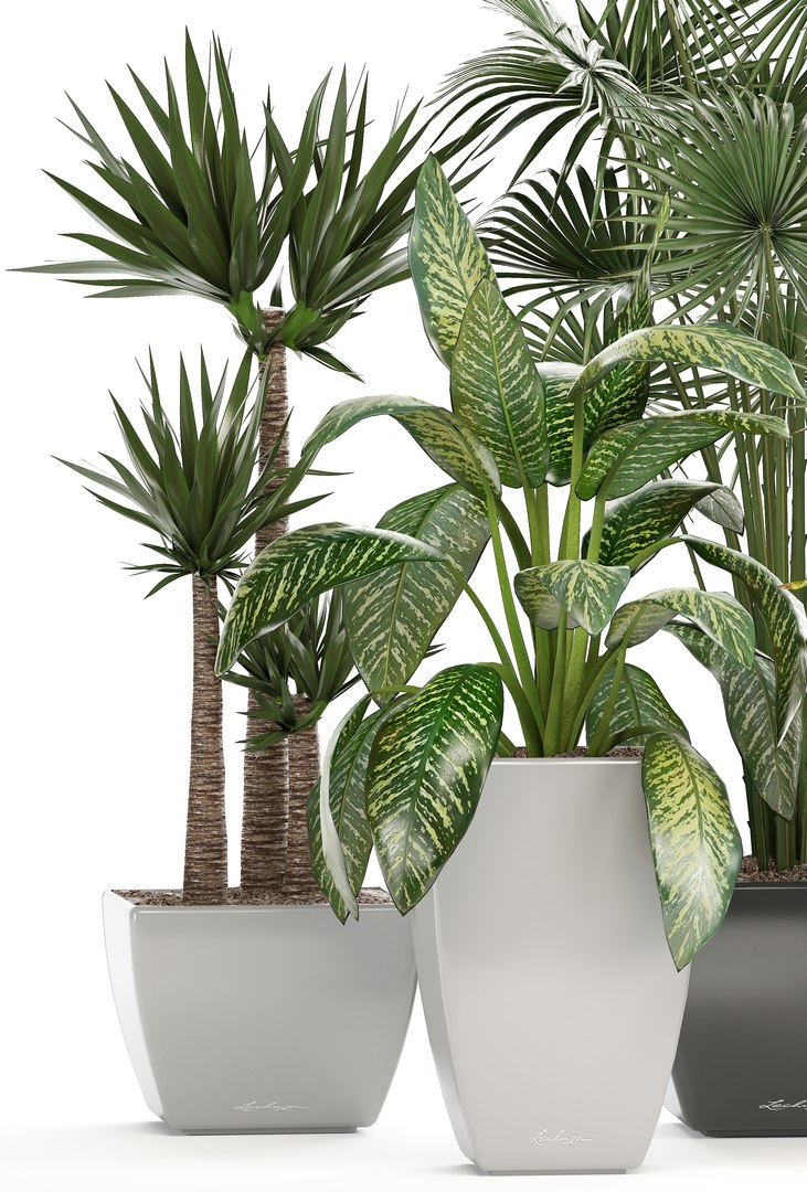 plants pots model https://p.turbosquid.com/ts-thumb/zI/EIyr2t/hGzvTAgp/newplantset210604/jpg/1529662732/1920x1080/fit_q87/c2378f3611178fbea3358eec5d3d8b2762c285c6/newplantset210604.jpg
