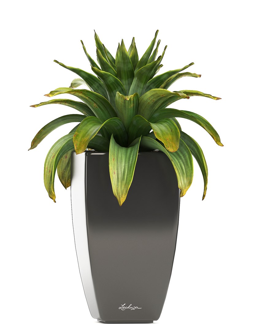 plants pots model https://p.turbosquid.com/ts-thumb/zI/EIyr2t/lbgtgB4x/newplantset210610/jpg/1529662732/1920x1080/fit_q87/0a770ce0bb640a35b8cb5803f4344ce3e51e046a/newplantset210610.jpg