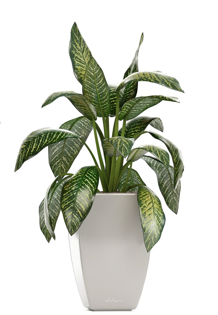 plants pots model https://p.turbosquid.com/ts-thumb/zI/EIyr2t/uzZlwGHO/newplantset210609/jpg/1529662732/1920x1080/fit_q87/f5b557f9450e2fd375a5dcf6b1aa8a395dacbc28/newplantset210609.jpg