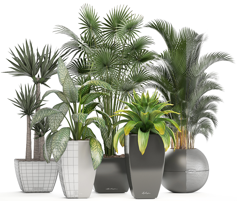 Plants pots model - TurboSquid 1298904