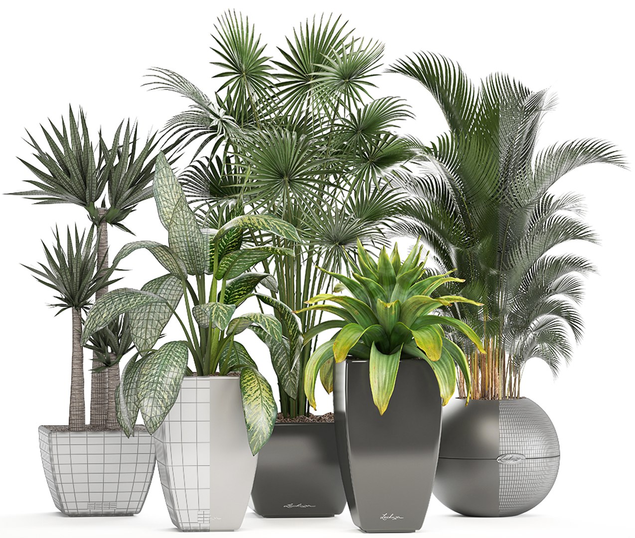 Plants Pots Model - Turbosquid 1298904