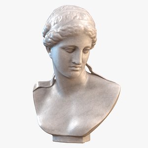 Vensu Bust 2