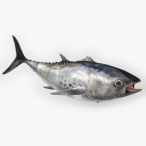 TUNA FISH Rigged L1547