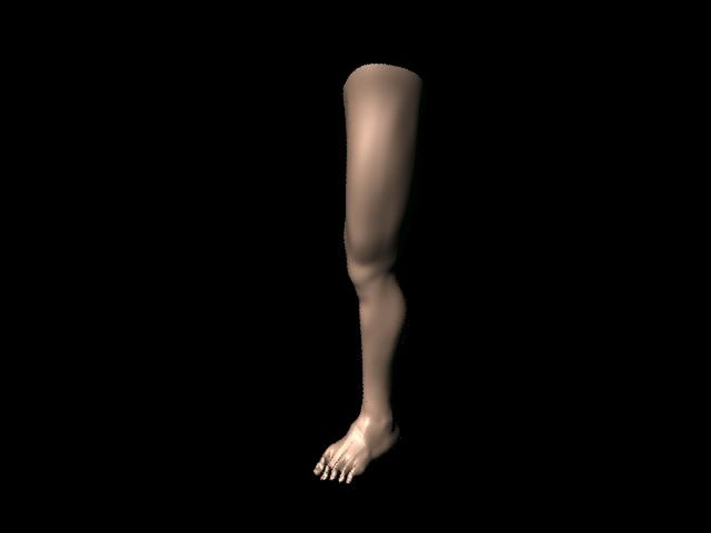 Leg Ma