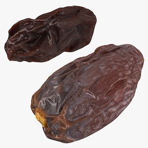 3D model Dried Date and Raisin