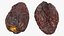 Dried Date and Raisin