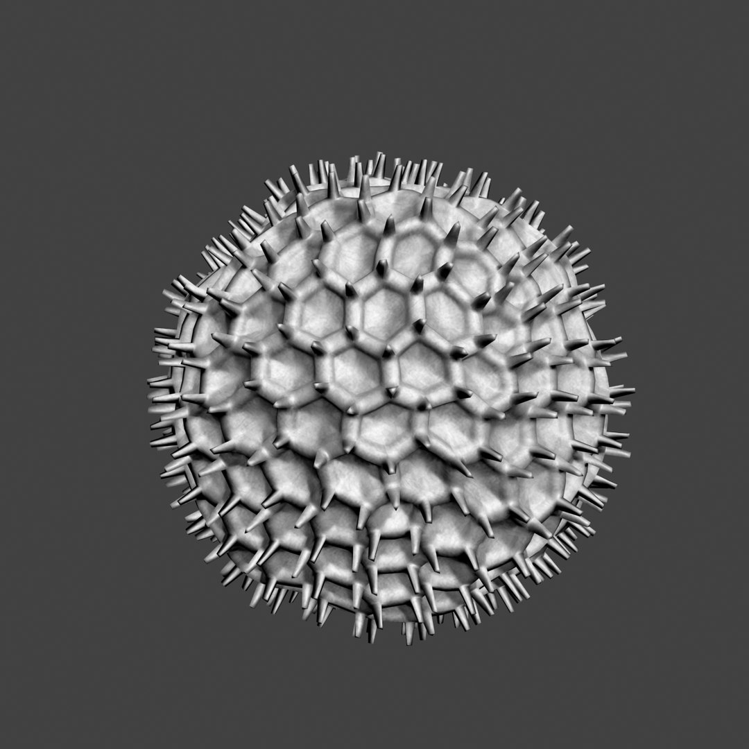 dandelion pollen 3D https://p.turbosquid.com/ts-thumb/zI/Pl27Qw/SpRFgcXY/03/png/1496911034/1920x1080/fit_q87/3e153dd5ab381616da90345c0c0fa57ac3b80ba9/03.jpg