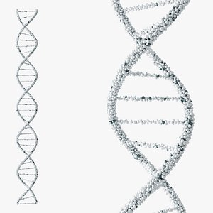 DNA Balls