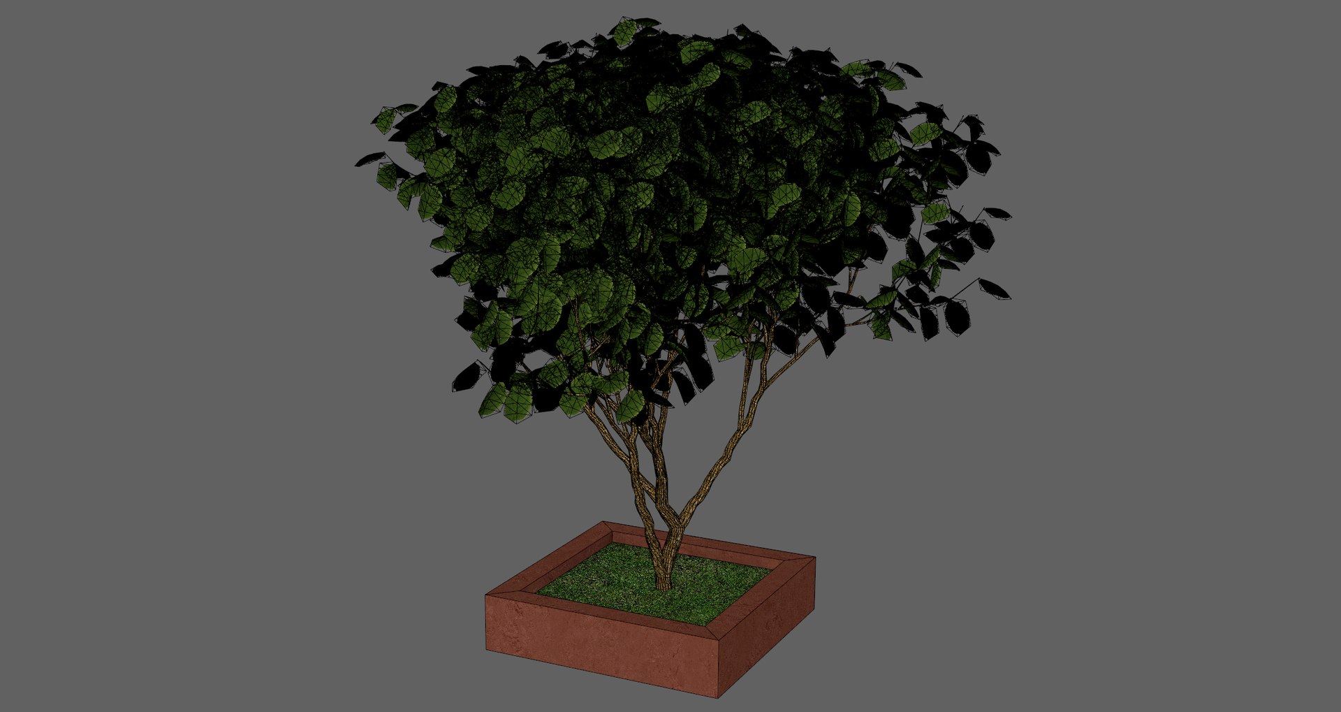 Free 3D Pot Tree - TurboSquid 2371506