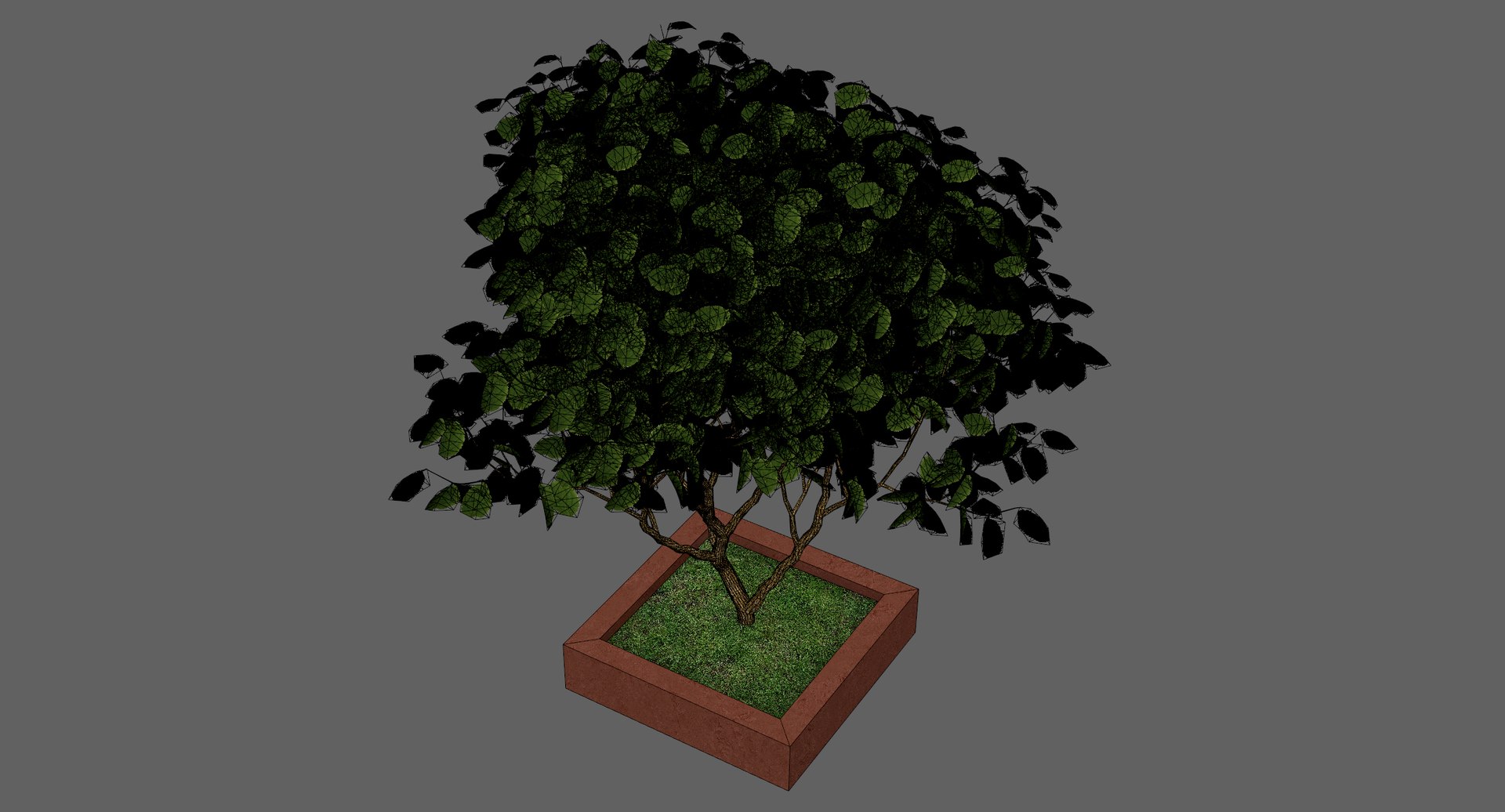 Free 3D Pot Tree - TurboSquid 2371506