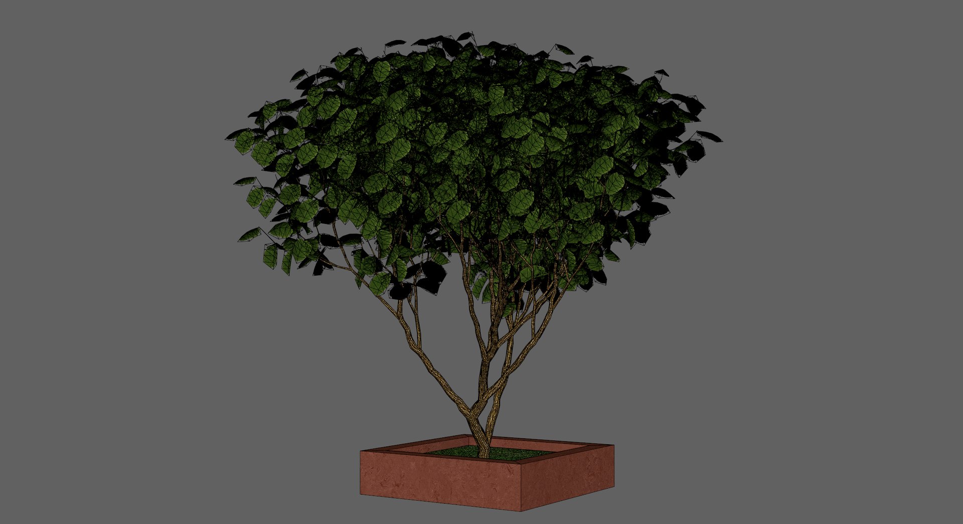 Free 3D Pot Tree - TurboSquid 2371506