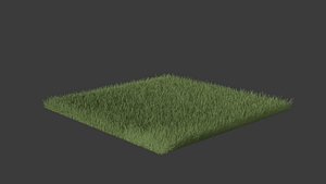 Grass Patch 3D model