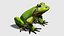 Frog OBJ 3D model