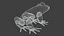 Frog OBJ 3D model