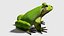 Frog OBJ 3D model