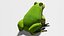 Frog OBJ 3D model