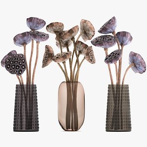 3D Bouquet of dried flowers in a glass vase 152