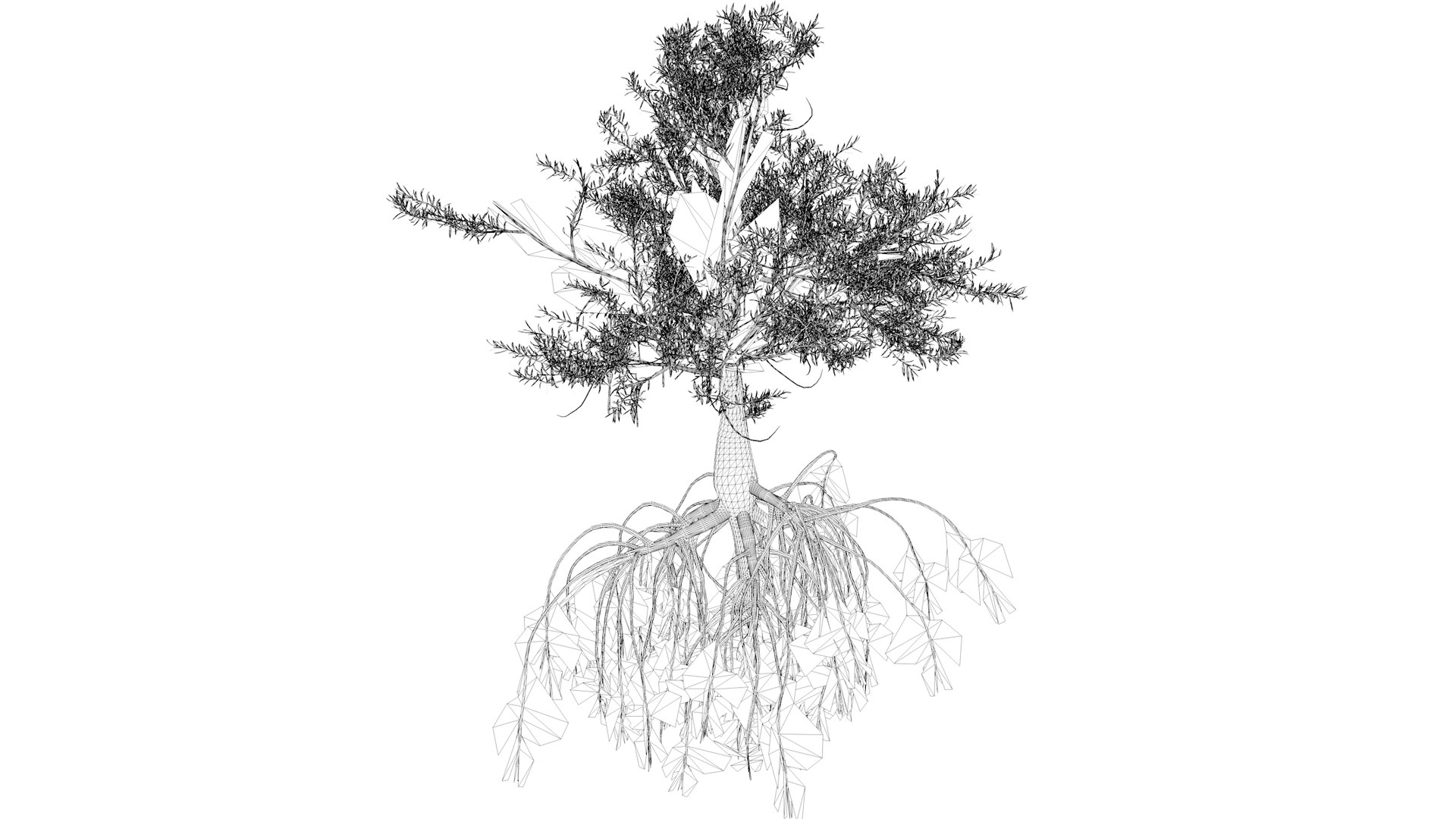3D Red Mangrove Tree - 07 - https://p.turbosquid.com/ts-thumb/zI/nHyba2/ih/redmangrove_07_031/png/1742300374/1920x1080/fit_q87/2fcc081a4528ea0a558ab6e65f570fabc1e97e2c/redmangrove_07_031.jpg