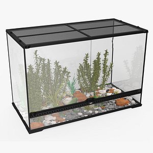 Large Terrarium with Plants Garden and Two Iguanas