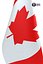 Office Flag Canada